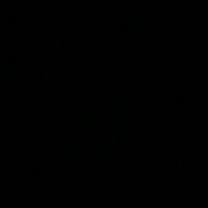 Meet your Posher, Moises